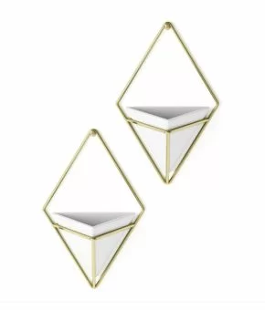 Trigg Wall Display -2