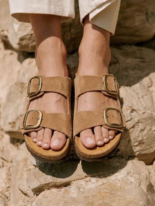 Image of: Scholl