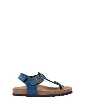 12463012-Royal-blue-1