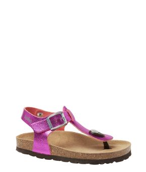 12465033-Fuchsia-1