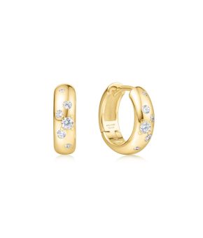 ania-haie-136230-goudkleurig 1