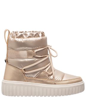 antarctica-141510-goudkleurig 1