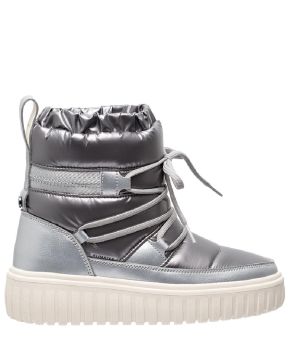 antarctica-141510-zilverkleurig 1