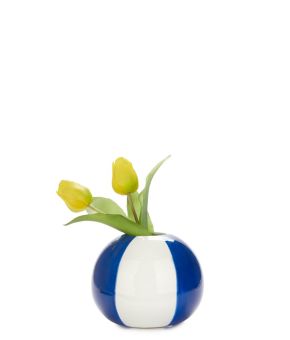 balvi-121616-blauw 1