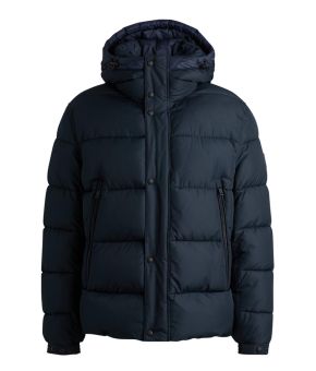 boss-137088-blauw 1
