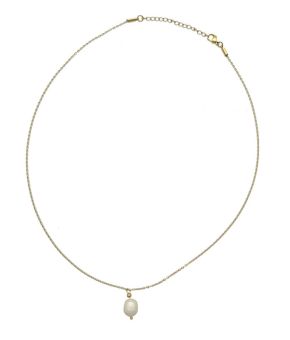 camps-en-camps-141496-wit 1