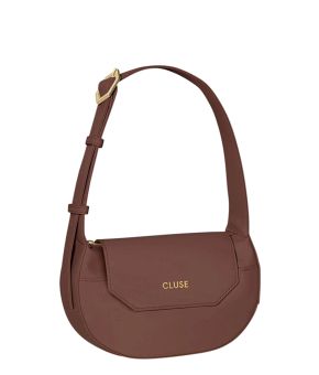 cluse-147988-bruin 1
