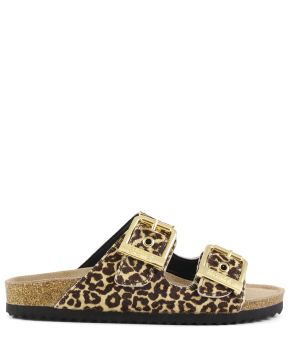 colors-of-california-135034-bruin 1