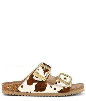 colors-of-california-145232-bruin 1