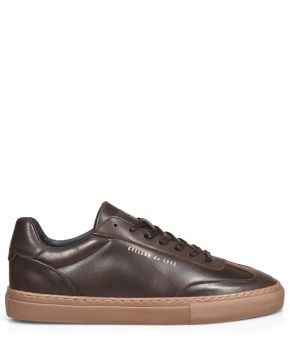 cycleur-de-luxe-122161-bruin 1
