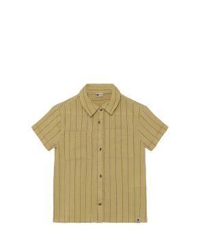 daily7-142923-groen 1