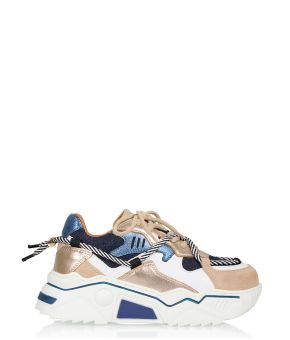 dwrs-123010-blauw 1