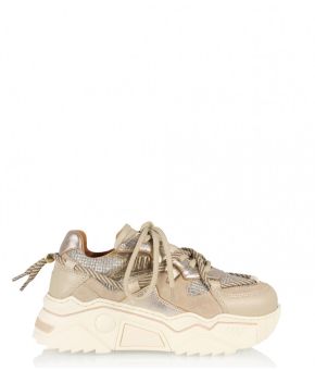 dwrs-123011-taupe 1