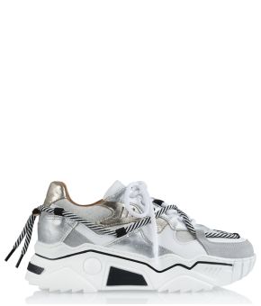 dwrs-132006-zilverkleurig 1