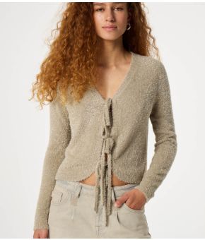 fabienne-chapot-124228-bruin 1