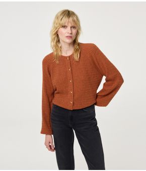 fabienne-chapot-138204-bruin 1