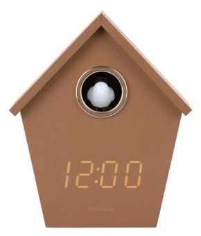 karlsson-145551-bruin 1