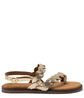 lazamani-144902-goudkleurig 1