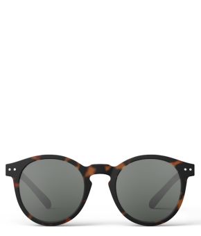 M-Sun-Tortoise-1