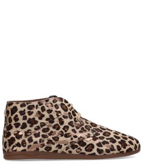 maruti-142830-beige 1