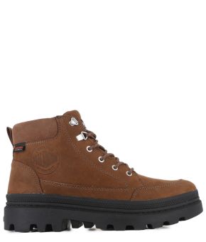 palladium-137777-bruin 1