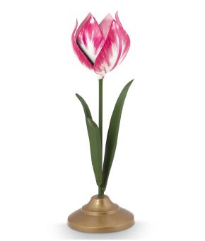 pip-studio-143569-roze 1