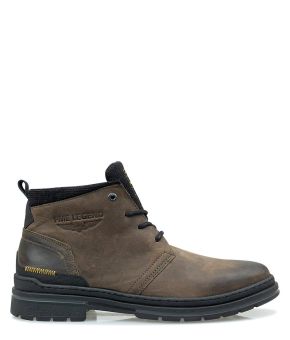 pme-legend-124979-bruin 1