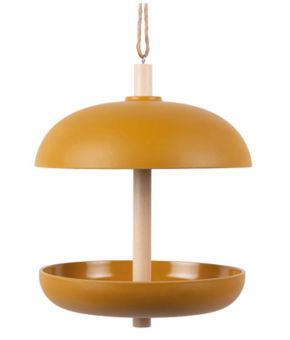 present-time-145538-geel 1