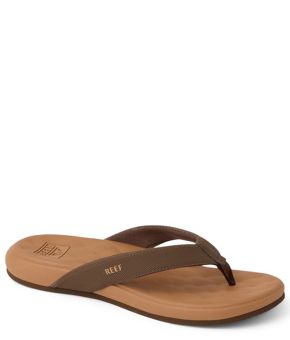 reef-145911-bruin 1