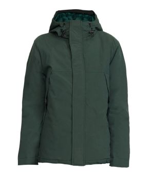 revolution-139279-groen 1