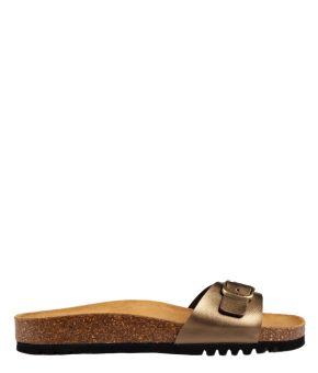 scholl-135336-bruin 1