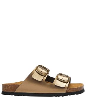 scholl-135340-bruin 1