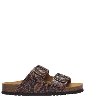 scholl-135342-bruin 1