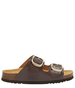 scholl-135347-bruin 1