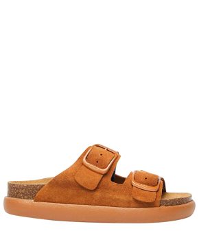 scholl-135354-bruin 1