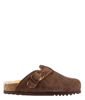 scholl-137314-bruin 1