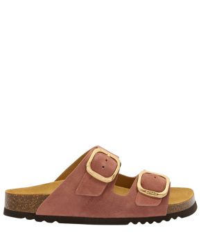 scholl-142856-rood 1