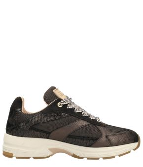 shabbies-139164-bruin 1