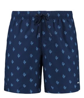 shiwi-135947-blauw 1