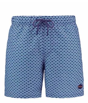 shiwi-145068-blauw 1