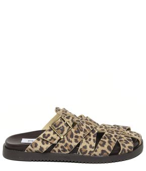 steve-madden-144025-bruin 1