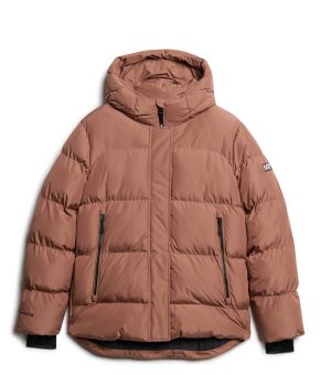superdry-125806-bruin 1