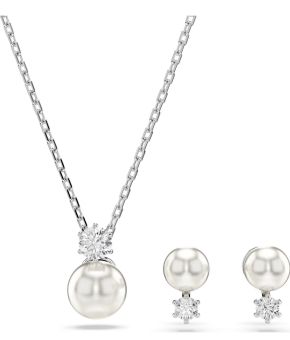 swarovski-123654-zilverkleurig 1