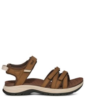 teva-144757-bruin 1