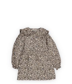 the-new-society-138246-roze 1
