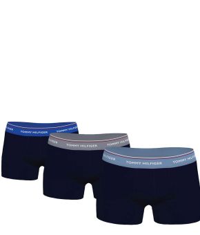 3-Pack Trunk Wb