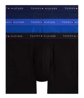 tommy-hilfiger-139304-blauw 1