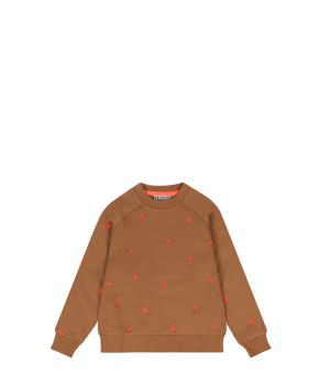 tumble-n-dry-137541-bruin 1