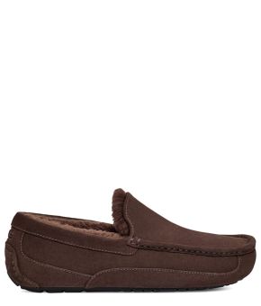 ugg-124311-bruin 1