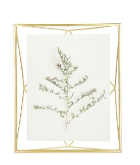 umbra-313018-Prisma-Pd-bruin-1